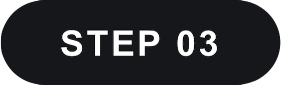 STEP03